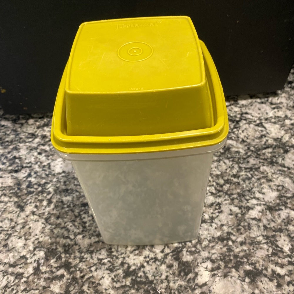 Vintage Tupperware container